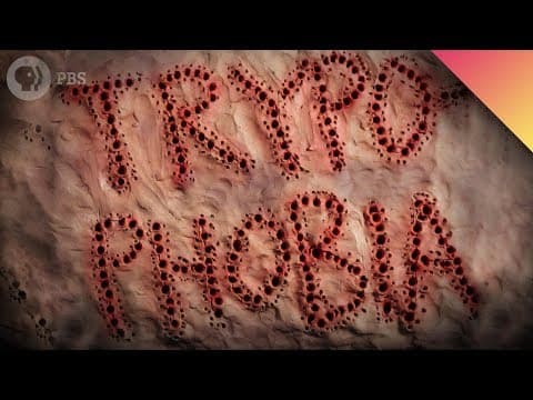 好多洞啊！你是不是也有密集恐懼症！？ (Are You Afraid of Holes?)