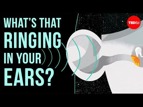 【TED-Ed】為什麼總是聽到嗡嗡聲？ (What’s that ringing in your ears? - Marc Fagelson)