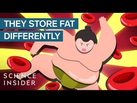 大食量相撲選手維持健康的秘訣！ (How Sumo Wrestlers Stay Healthy On 7,000 Calories A Day)