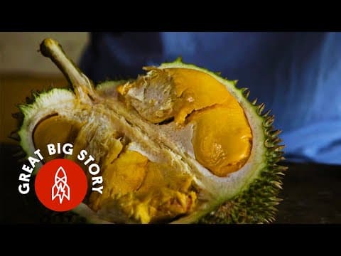 到底是臭還是香？榴槤 (Durian Fruit: A Smell So Rotten, a Taste So Sweet)