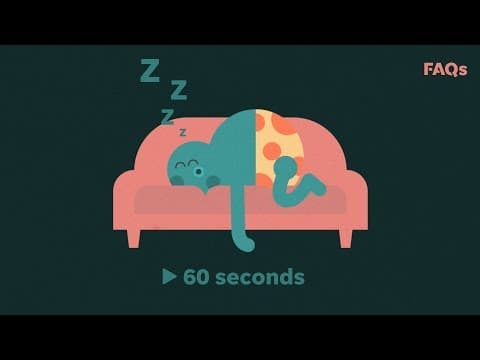 科學實證中午咪一下好處多多！下午上班能量滿滿 (Need a power nap? Here's how a quick snooze can impact your daily life | Just The FAQs)