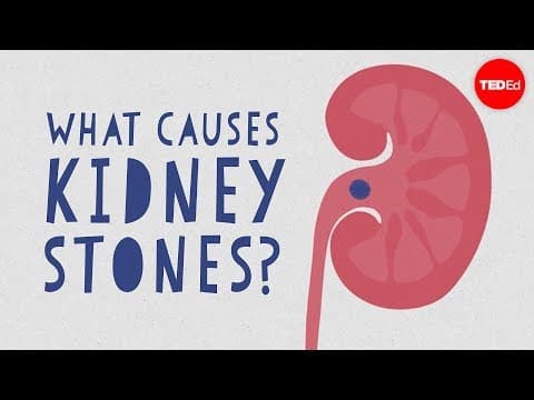 【TED-Ed】腎結石為什麼產生？ (What causes kidney stones? - Arash Shadman)