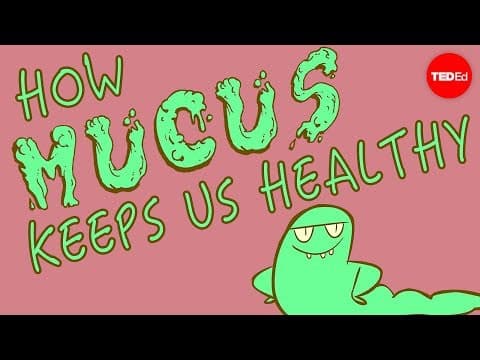 【TED-Ed】黏液黏膜很重要! 來看看他們如何影響我們的健康 (How mucus keeps us healthy - Katharina Ribbeck)