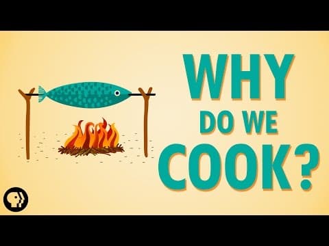為什麼人會是唯一烹煮食物的動物？人類的進步象徵？ (Why Do We Cook?)