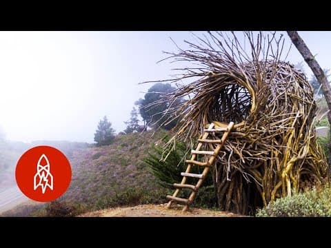 鬼斧神工！看看他怎麼建出超大巢窩 (Meet the Man Building Human-Sized Nests)
