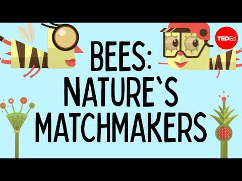 【環境教育】嗡嗡嗡！蜜蜂是如何幫助植物授粉的？(How bees help plants have sex - Fernanda S. Valdovinos)