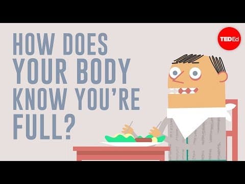 你的身體如何知道你飽了？ (How does your body know you're full? - Hilary Coller)