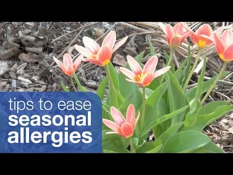 過敏人的惡夢！教你幾招緩解過敏的症狀！(Tips to ease your seasonal allergies)