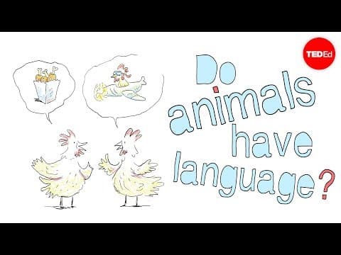 【Ted-Ed】原來動物們都有自己的一套語言！(Do animals have language? - Michele Bishop)