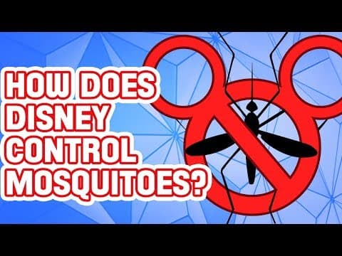 夏天蚊子多，為什麼迪士尼樂園沒有蚊子？ (Why Are There No Mosquitoes at Disney World?)