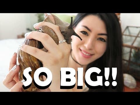 超巨大非洲大蝸牛！ | 幼年期蝸牛 | 我的寵物蝸牛 (GIANT African Land Snail! | Baby Snails | My Pet Snail)