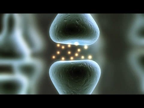 【TED】卡蘿·德威克: 相信你能進步的力量 (The power of believing that you can improve | Carol Dweck)