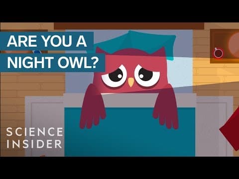 強迫夜貓族變成早鳥作息，會發生什麼事？(What Happens When A Night Owl Is Forced To Live Like An Early Bird)