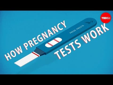 【TED-Ed】驗孕到底是怎麼一回事呢？ (How do pregnancy tests work?)