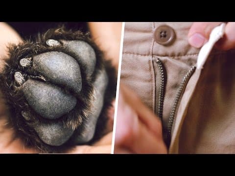 男性服飾的小秘密