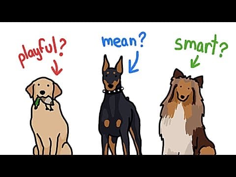 不同品種的狗狗到底有多不一樣？ (How Different Are Different Types of Dogs?)