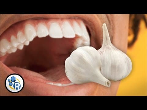 為什麼吃完大蒜嘴巴會那麼臭？ What Causes Garlic Breath? - Reactions
