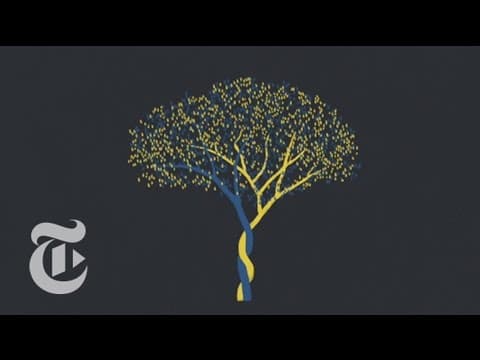 進入森林-現代愛情 Into the Woods | Modern Love | The New York Times