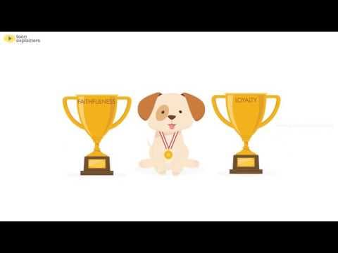 我們為何喜歡狗狗？(Why Do We Love Dogs)