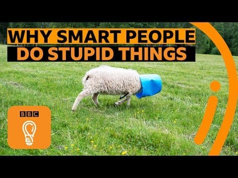 你常犯愚蠢的錯誤嗎？可能因為你其實很聰明！(Why smart people make stupid mistakes | BBC Ideas)