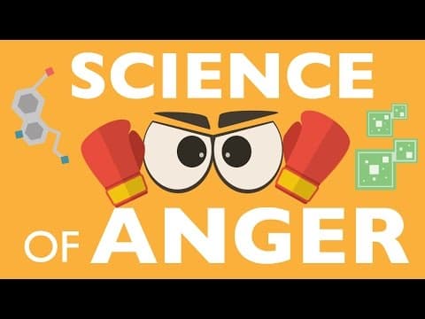 你易怒嗎？小心這些副作用(The Science of Anger)