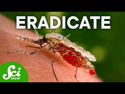 如果我們殺了所有的蚊子 (What If We Killed All the Mosquitoes?)
