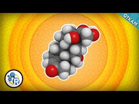 為什麼過度壓力是不好的？ (Why Too Much Stress Is Bad For You)