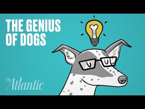 【發音特輯】你的發音標不標準呢？一起來 review！