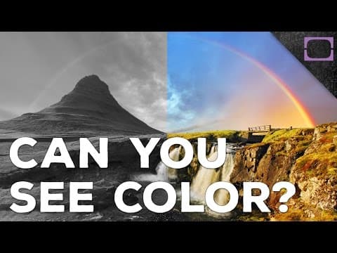 我們如何看到這多彩多姿的世界？ (How Do We See Color?)