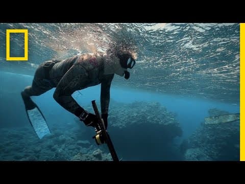你看過戈登煮魚，但你看過他捕魚嗎？ (Gordon Ramsay Learns to Spearfish | Gordon Ramsay: Uncharted)