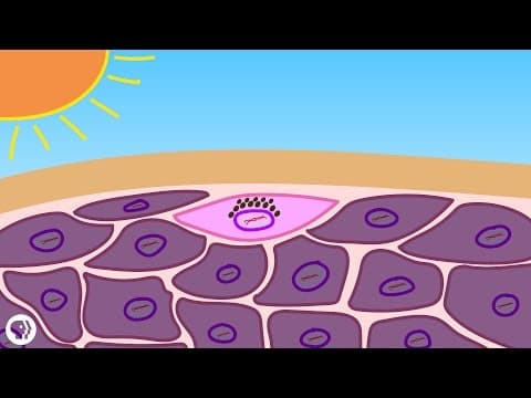 【發音特輯】你的發音標不標準呢？一起來 review！