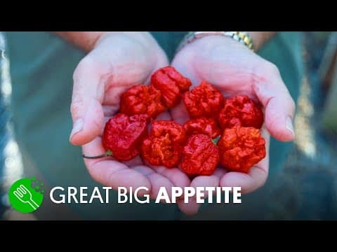種植全世界最辣的辣椒 (Breeding the World’s Hottest Pepper)
