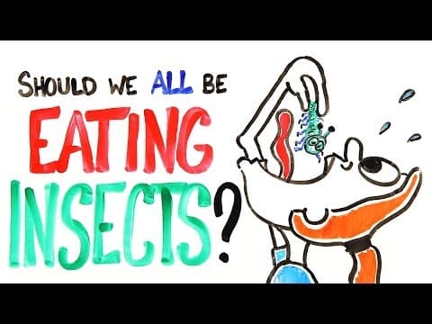吃蟲聽起來噁心？其實超有營養！ (Should We All Be Eating Insects?)