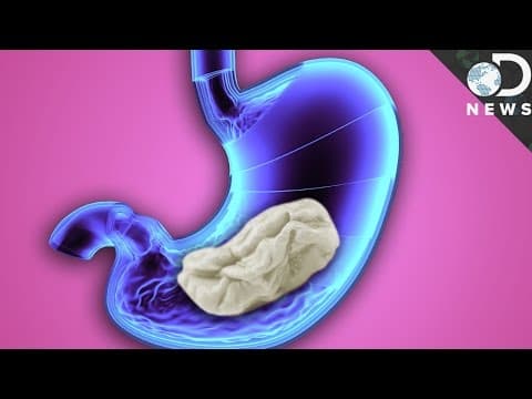 為什麼媽媽都說不可以吞口香糖？原來是這樣！ (What Really Happens When You Swallow Gum?)