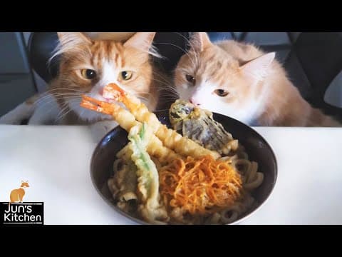 貓咪監督製作天婦羅烏龍麵 (Tempura Udon Noodles)