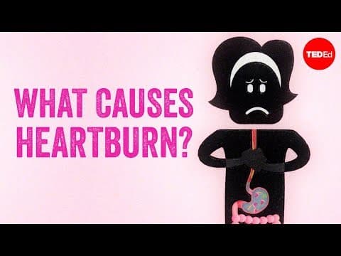 【TED-Ed】喝咖啡吃甜食又讓你 ... 為什麼會胃食道逆流呀！ (What causes heartburn? - Rusha Modi)