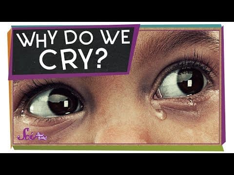 傷心時，眼淚總是止不住！到底為什麼悲傷時會哭泣呢？ (Why Do We Cry When We're Sad?)