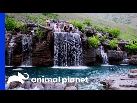 終極豪華泳池聖地！