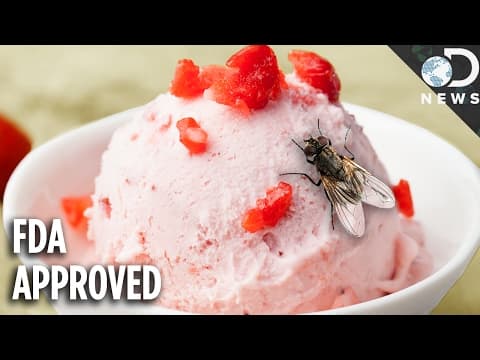 你的食物裡有蟲！？告訴你為何不用緊張 (There Are Bugs In Your Food! Here
