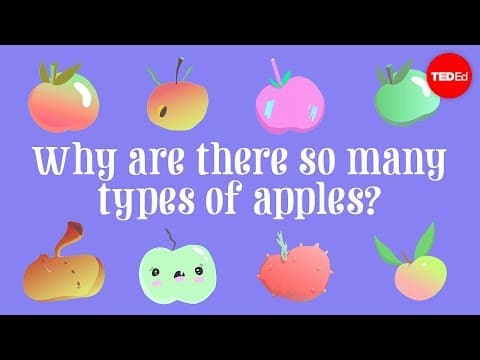 為何有那麼多種類的蘋果呢? (Why are there so many types of apples? - Theresa Doud)