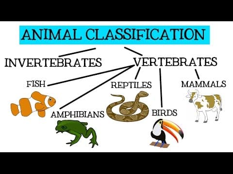 動物分類：分類脊椎動物和無脊椎動物 (Animal Classification: Classifying Vertebrates and Invertebrates)