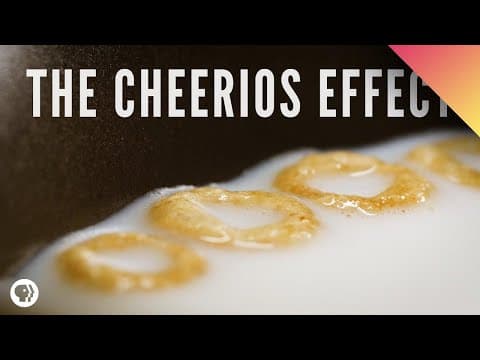 為什麼牛奶上的穀片匯聚在一起？（The Cheerios Effect）