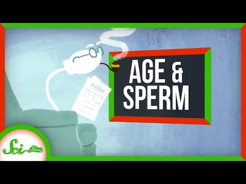 驚！畸形蝌蚪？男人變老後，精子質量會有什麼變化 (The Male Biological Clock)