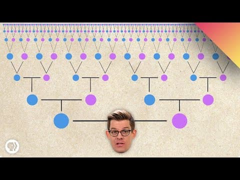 我們該不會全部都是親戚吧？ (Are We All Related?)