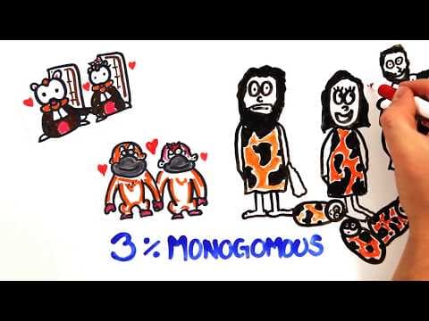 【生活英文】偷吃也有科學依據？ (The Science of Cheating)