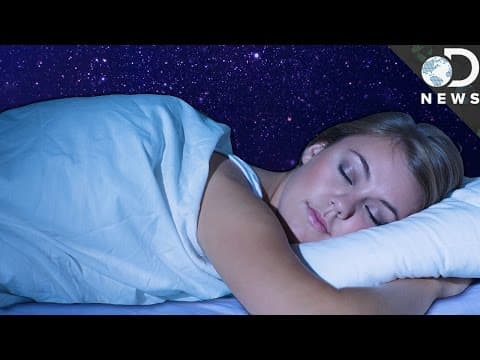 晚上開燈睡不著？你知道為什麼人類不是夜行性動物嗎？ (Why Aren’t Humans Naturally Nocturnal?) 