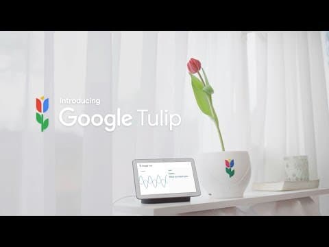 Google 的花言巧語：植物聽懂你說話了！(Introducing Google Tulip)