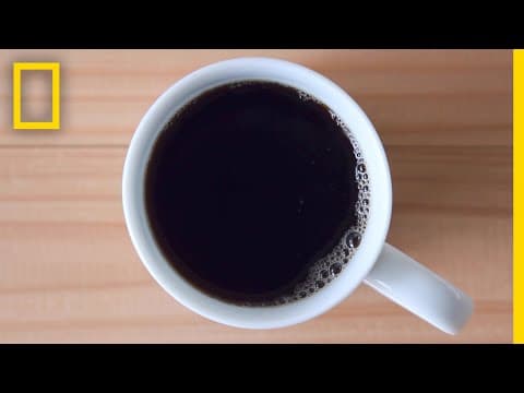 喝咖啡讓你精神百倍？小心咖啡因過量！ (Caffeine 101 | National Geographic)