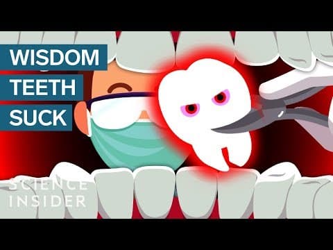 為什麼智齒這麼討厭？ (Why Do Wisdom Teeth Suck?)