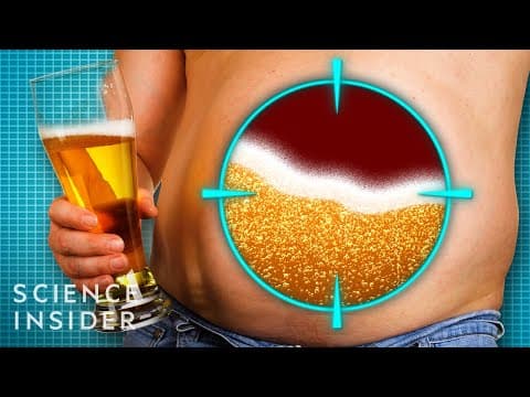 為什麼男人會有啤酒肚？(Why Do Men Get Beer Bellies?)